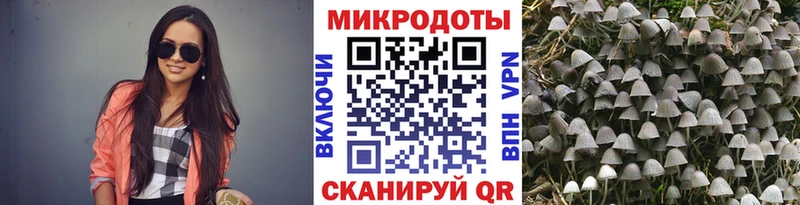 Псилоцибиновые грибы Psilocybine cubensis  это состав  Комсомольск 